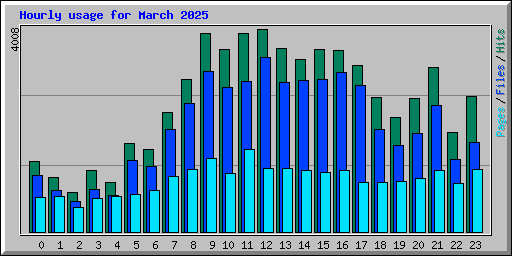 Hourly usage for March 2025