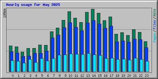 Hourly usage for May 2025