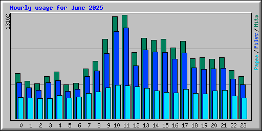 Hourly usage for June 2025