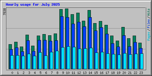 Hourly usage for July 2025