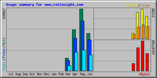 Usage summary for www.retinsight.com